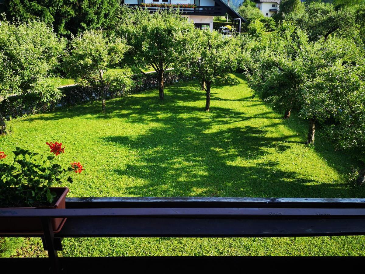 Jaka Apartments Bled Dış mekan fotoğraf